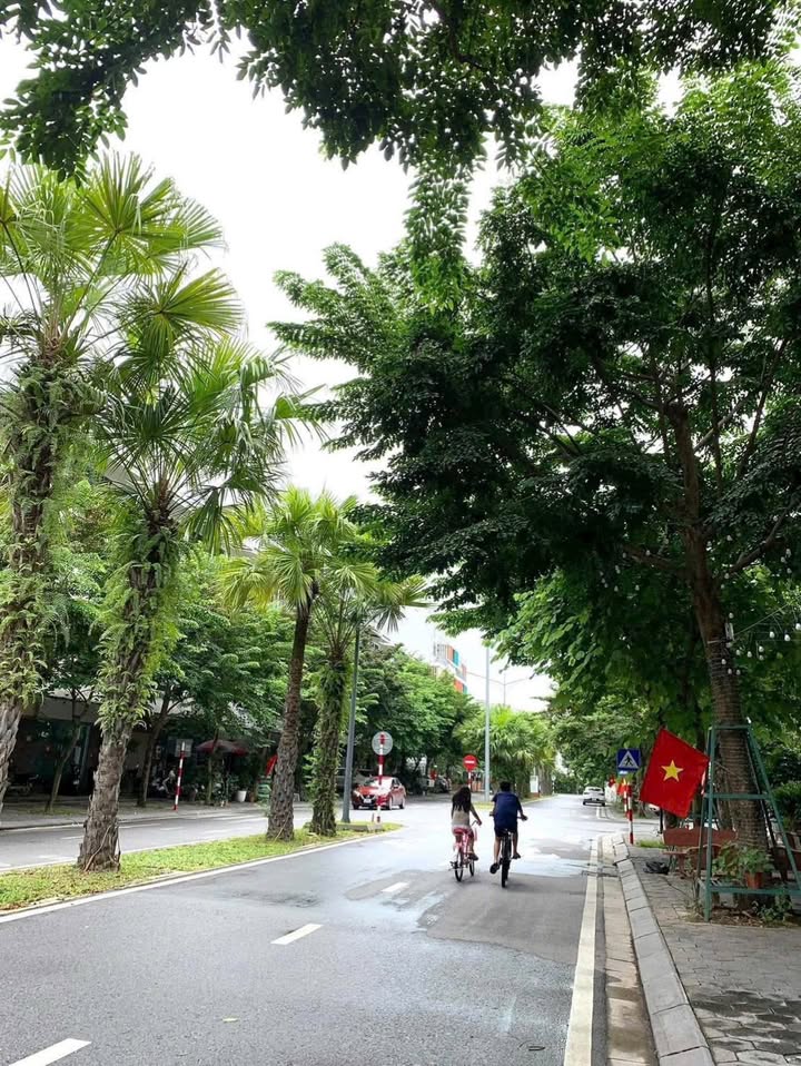 Nhà phố kinh doanh đường đôi Chế Lan Viên, KĐT Ecopark Hải Dương 100m² - Vị trí đắc địa cho kinh doanh!