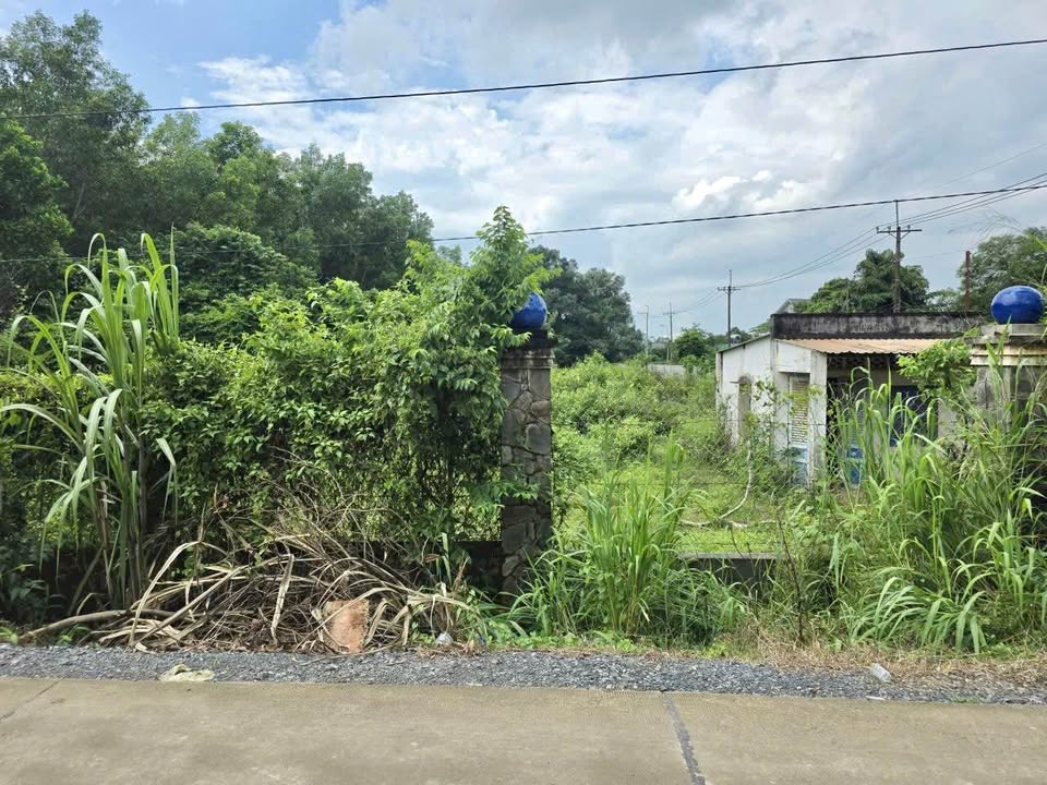 Đất nền Tân An Hội 5000m² giá thỏa thuận - Mặt tiền 120m, tiện ích đầy đủ!