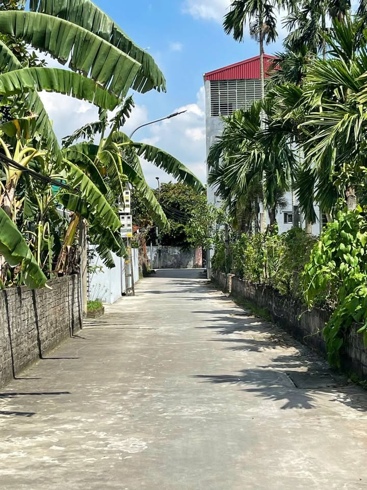 Đất đẹp chính chủ tại Kiến Phong, An Dương 57m² giá 1.6 tỷ - Cơ hội đầu tư tốt!