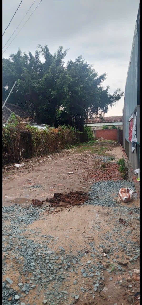 Đất mặt tiền đường Bàu Sen, Đức Lập Hạ, 245m² giá 2.6 tỷ - Cơ hội đầu tư tuyệt vời!