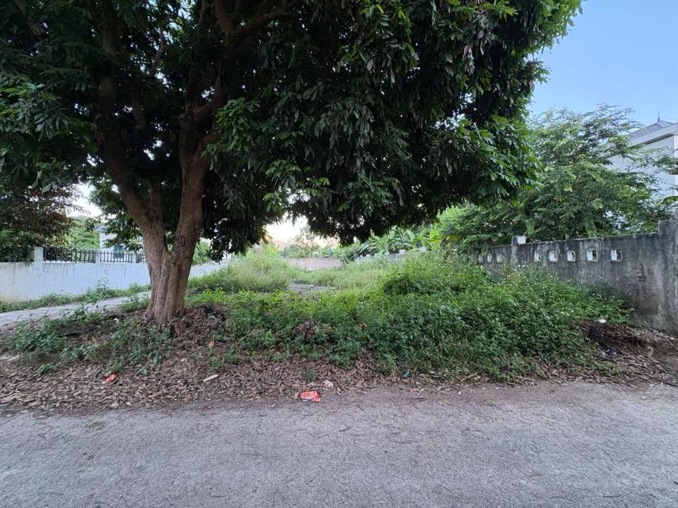 Đất chính chủ Thanh Nưa 300m² giá 850 triệu - Sổ đỏ sang tên ngay!