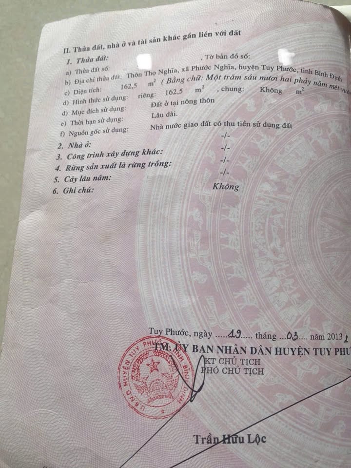 Đất thổ cư thôn Thọ Nghĩa, Tuy Phước, 162m² - Giá chỉ 600 triệu, sổ hồng trao tay!