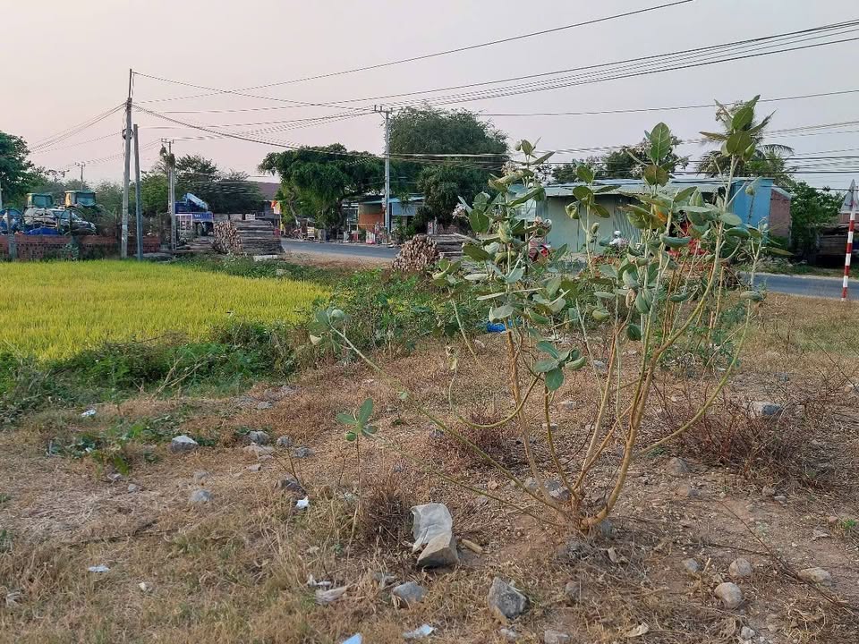 Đất mặt đường Quốc lộ 25, xã Ia Sao, 1000m² - Đầu tư sinh lời ngay!