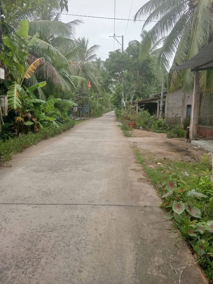 Đất An Thới Mỏ Cày Nam 1936m² giá 1.6 tỷ - Cơ hội đầu tư tuyệt vời!