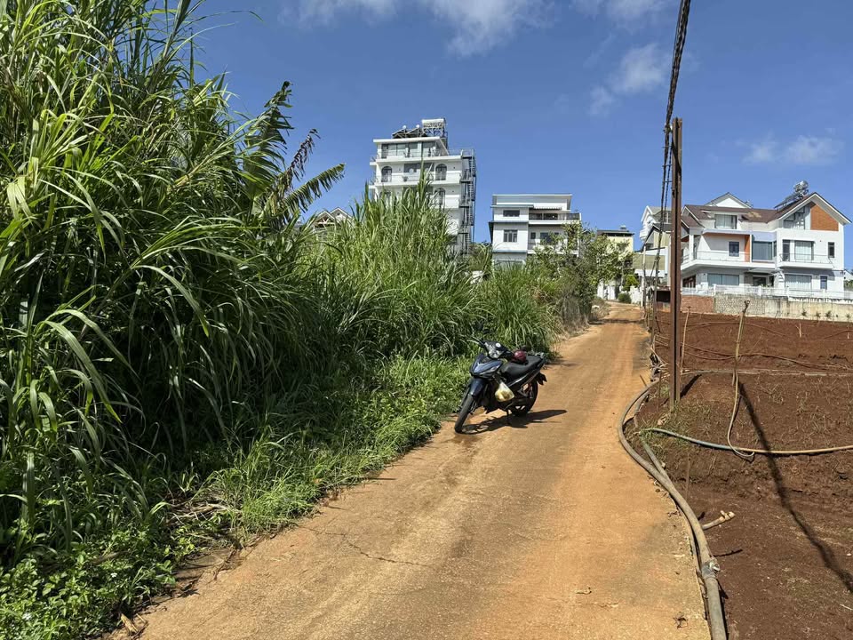 Lô đất đẹp 95m² phường Xuân Trường, Đà Lạt - Giá đầu tư chỉ 980 triệu!