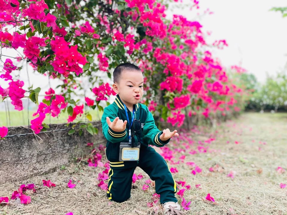 Đất vườn tạp 421m² Vũ Đông giá chỉ 1 tỷ - Hướng Tây Bắc, giao thông thuận lợi!