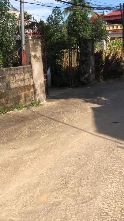 Đất thổ cư 800m² tại thị trấn Thanh Thủy - Cơ hội đầu tư tuyệt vời!