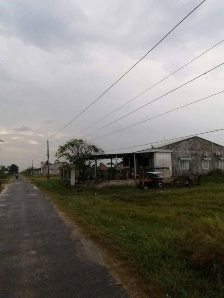 Đất thổ cư Gò Dầu Tây Ninh 1240m² giá 2.2 tỷ - Đường nhựa rộng rãi, tiện ích đầy đủ!