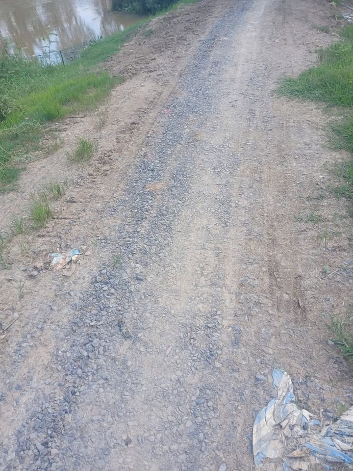 Đất ruộng 10 công tại xã Bình Tấn, huyện Thanh Bình, Đồng Tháp - Giá chỉ 1.6 tỷ, đầu tư sinh lời!