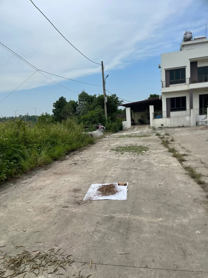 Đất nền Tiên Dương Đông Anh 81m² giá 1 tỷ - Sổ đỏ chính chủ, ô tô vào tận nơi!