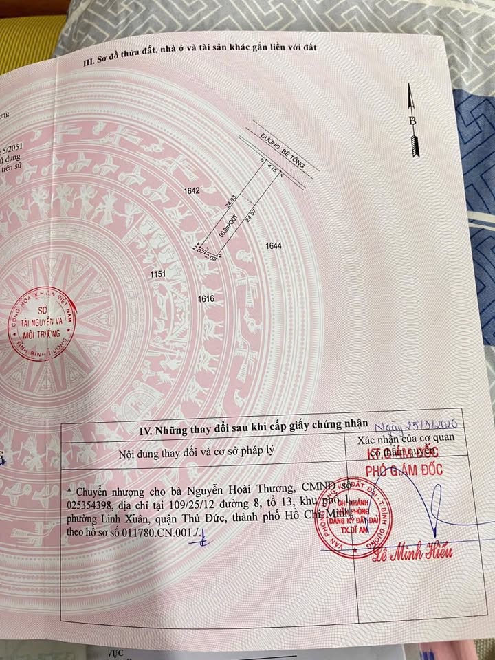 Lô đất đẹp đường Cây Da, Tân Đông Hiệp 100m² giá 2,007 tỷ - Đầu tư sinh lời ngay!