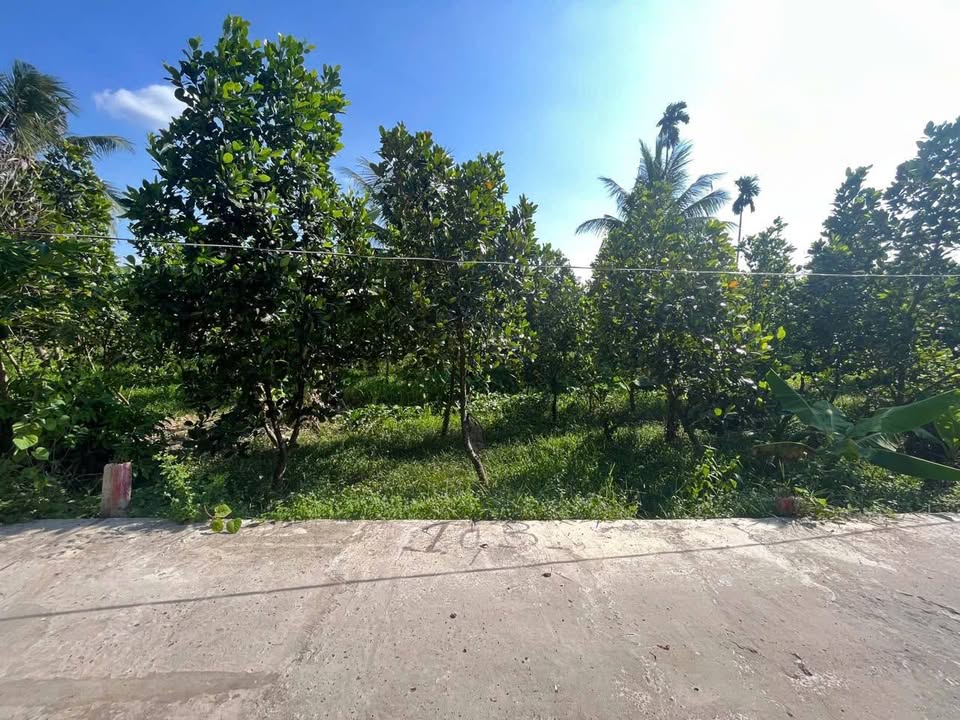 Đất nền Phú Lợi, Cái Răng, Cần Thơ 150m² giá 600 triệu - Cơ hội đầu tư hấp dẫn!