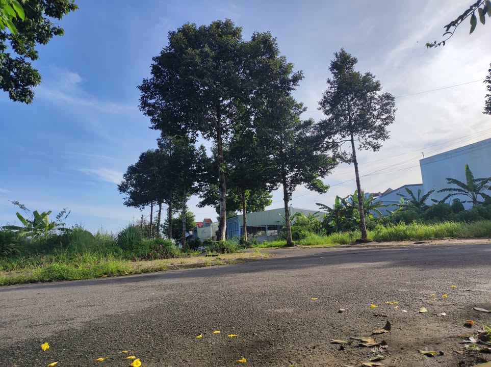 Nhà 1 trệt 1 lầu phường Tân Ngãi 125m² giá 2.8 tỷ - Gần trung tâm hành chính