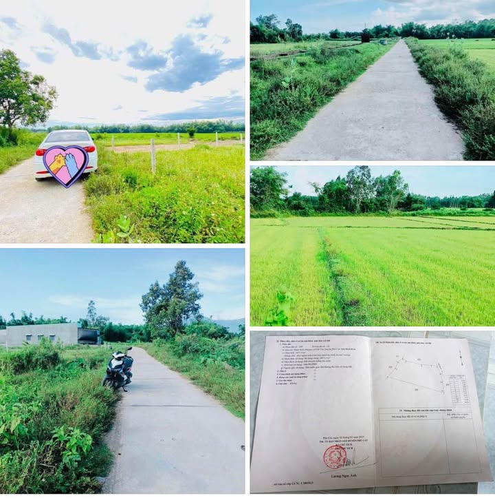 Đất nền Kiều Huyên, Cát Tân, 1500m² chỉ 270 triệu - Pháp lý rõ ràng!