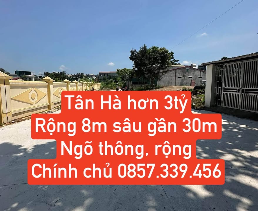 Đất nền Tân Hà, Tuyên Quang 240m² giá 3 tỷ - Thế đất cao thoáng lý tưởng!