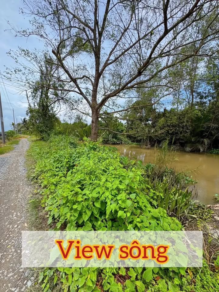 Đất nền Bình Minh Vĩnh Long 365m² giá 390 triệu - Pháp lý rõ ràng, tiện ích đầy đủ