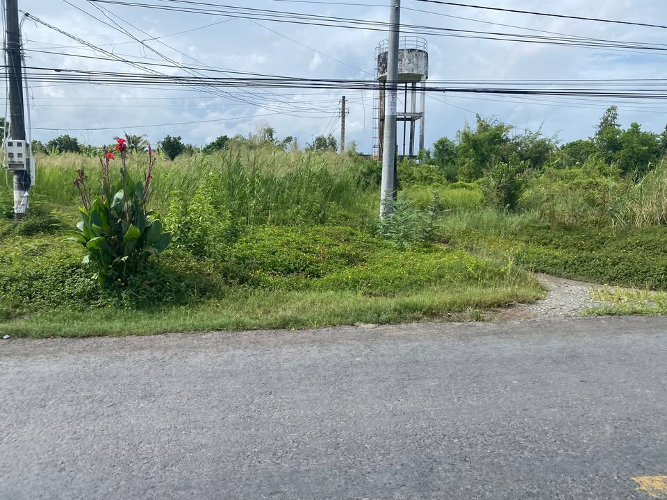 Đất nền mặt tiền đường Nam Sông Hậu, phường Vĩnh Trạch 870m² giá 2.1 tỷ - Sổ đỏ chính chủ!