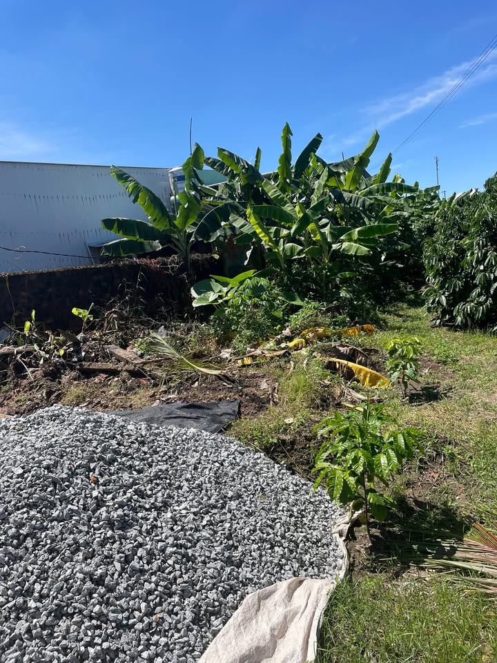 Đất nền đẹp Đắk Hà 250m² giá 700 triệu - Đầu tư sinh lời ngay!