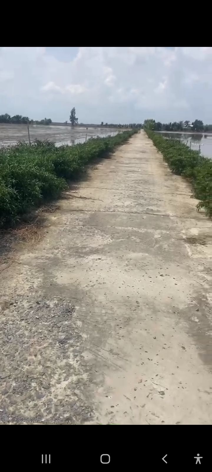 Đất lúa 6500m² Gáo Giồng, Cao Lãnh chỉ 255 triệu - Cơ hội đầu tư hấp dẫn!