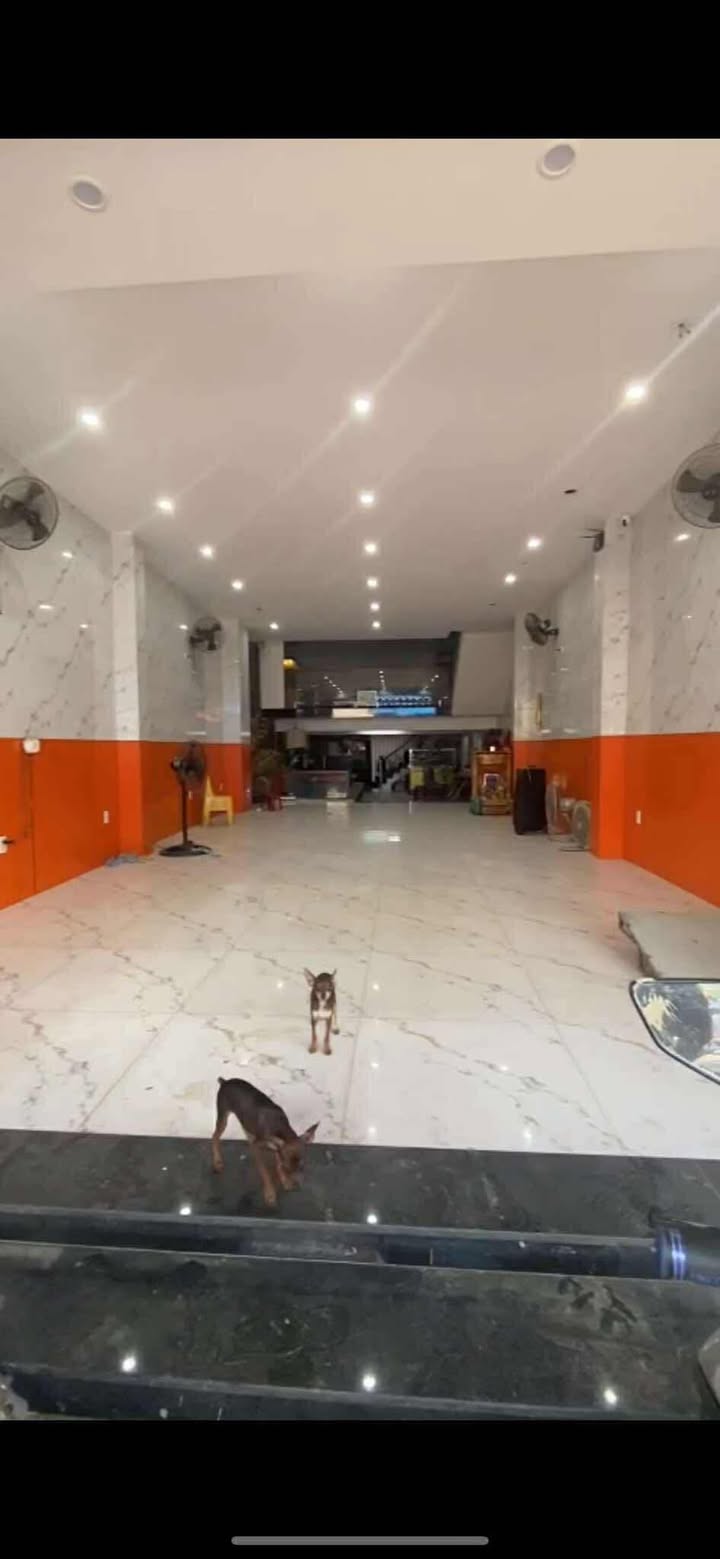 Nhà mặt tiền 4 tầng đường Hoàng Diệu, Hải Châu, Đà Nẵng - Diện tích 150m², cho thuê ngay!