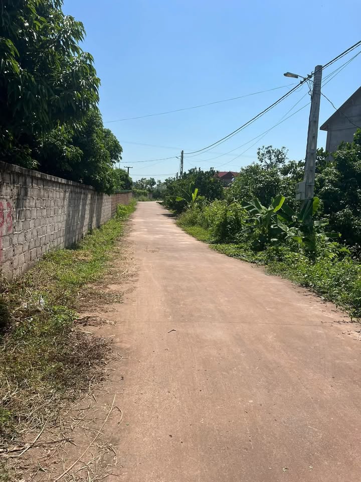 Đất nền Vô Tranh, Lục Nam 2000m² giá chỉ từ 400 triệu - Sổ đỏ chính chủ!