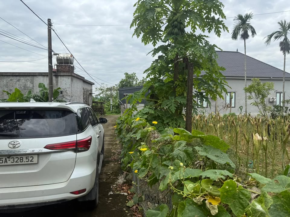 Đất nền Gia Hòa, Gia Viễn 100m² chỉ 790 triệu - Giá rẻ nhất hôm nay!