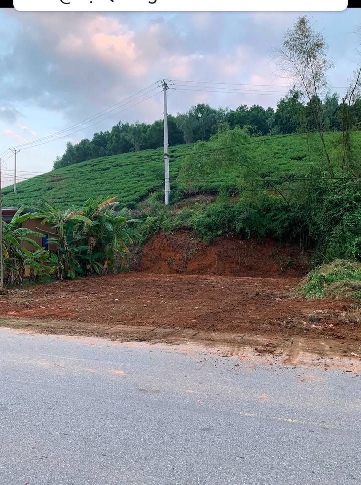 Đất mặt tiền đường Trung Giáp, Phú Thọ 100m² giá 1.3 tỷ - Cơ hội kinh doanh tuyệt vời!