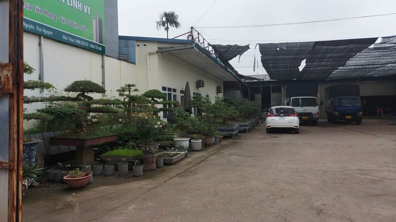 Cho thuê nhà xưởng và văn phòng 1200m² tại Quán Triều, Thái Nguyên - Địa điểm lý tưởng cho sản xuất!