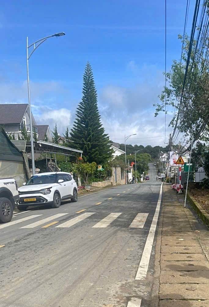 Đất Mặt Tiền Ngô Tất Tố Đà Lạt 650m² Giá 23 tỷ - Cơ hội đầu tư tuyệt vời!