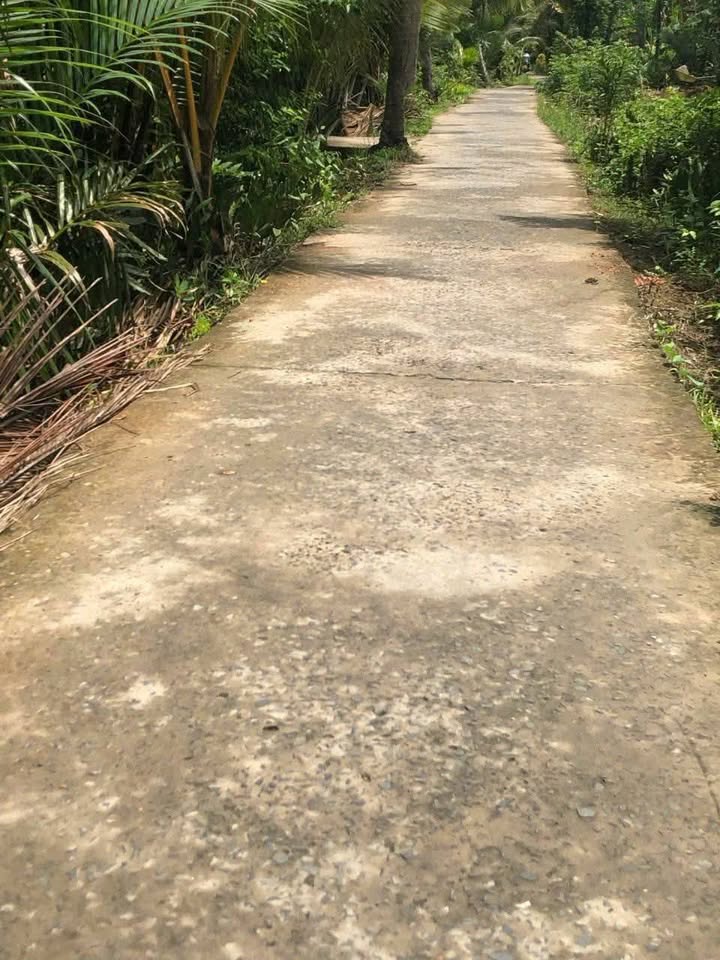 Nhà bán Lương Hòa, Giồng Trôm 520m² giá 750 triệu - Đường ô tô vào tận nơi!