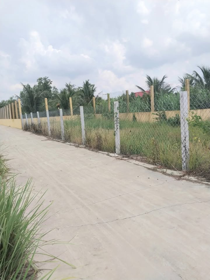 Đất phân lô Cần Giuộc 1900m² giá 6.9 tỷ - Sổ hồng chính chủ, ô tô đậu trước đất!