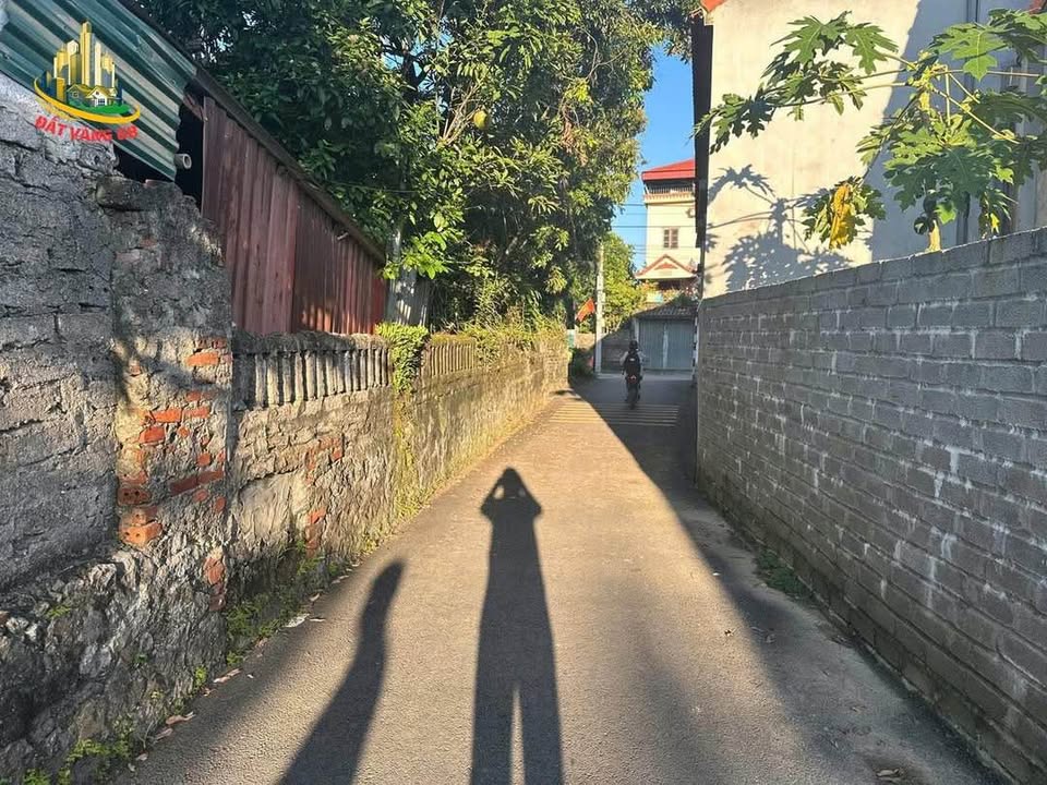 Đất Ninh Nhất Hoa Lư 151m² giá 3.3 tỷ - Cơ hội đầu tư tuyệt vời!