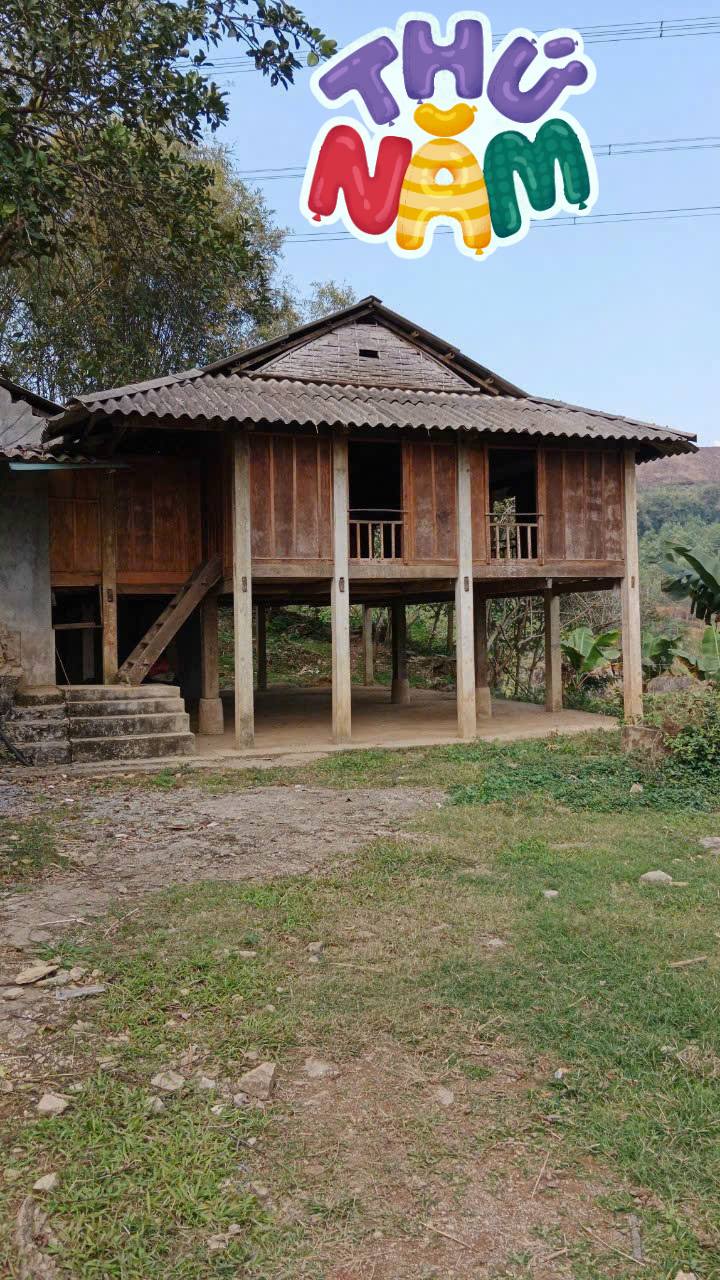 Đất farm 1600m² tại Phú Cường, Tân Lạc, Hòa Bình - Giá chỉ 28.7 tỷ!