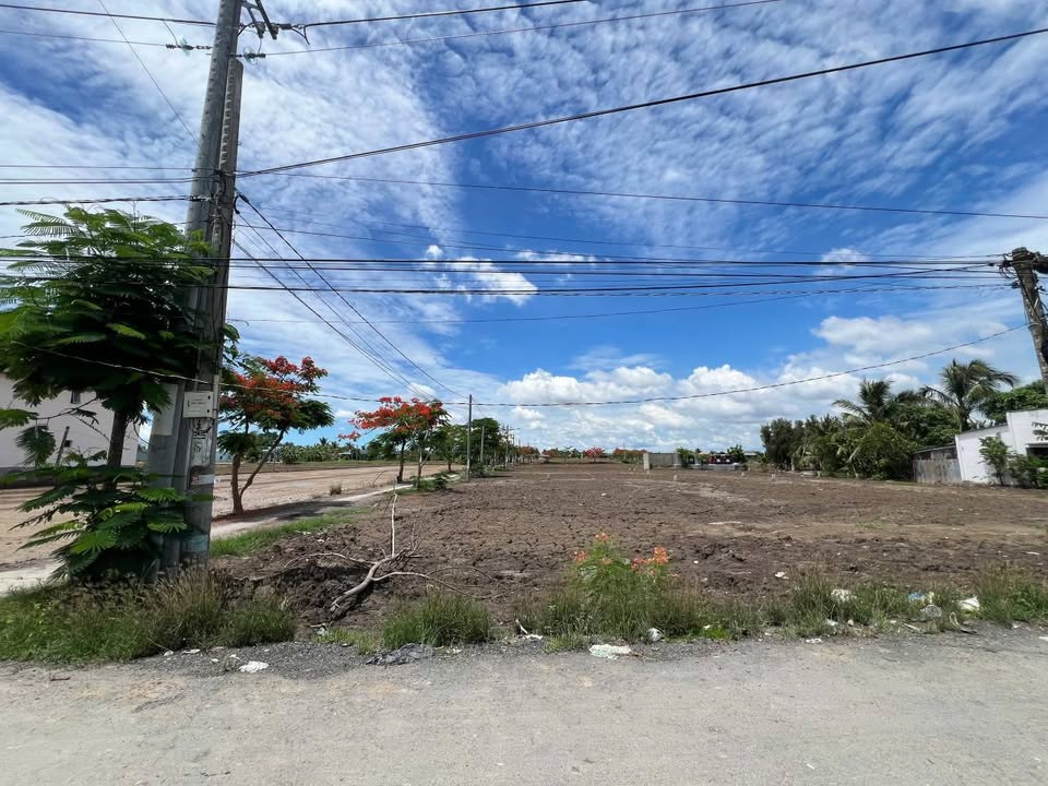 Đất thổ cư 211m² tại Ấp Ao Gòn, Cần Đước - Sổ hồng riêng, giá chỉ 1.48 tỷ!