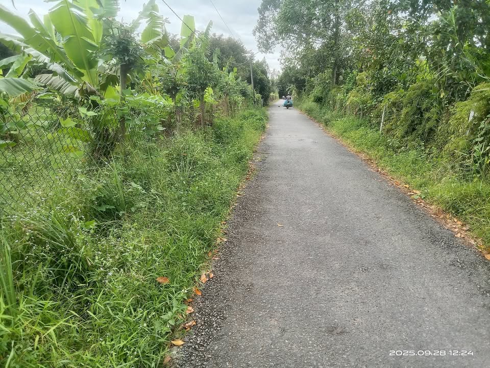 Bán đất nền Vĩnh Thới, Lai Vung 800m² giá 950 triệu - Đầu tư sinh lời tuyệt vời!