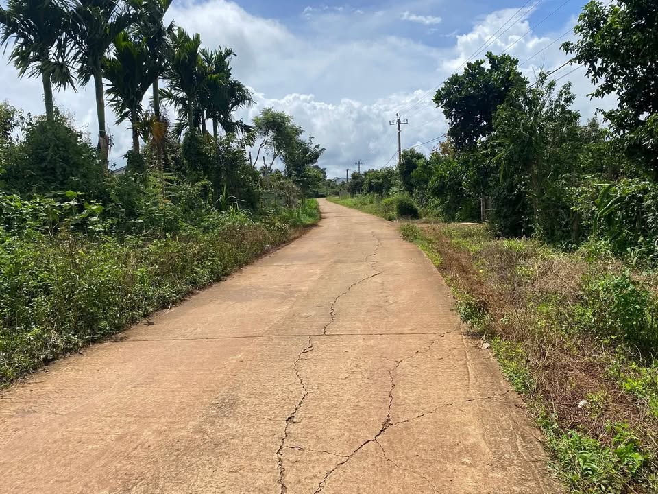 Đất thổ cư 200m² đường Nguyễn Tất Thành, Krông Năng - Giá đầu tư chỉ 2.1 tỷ!