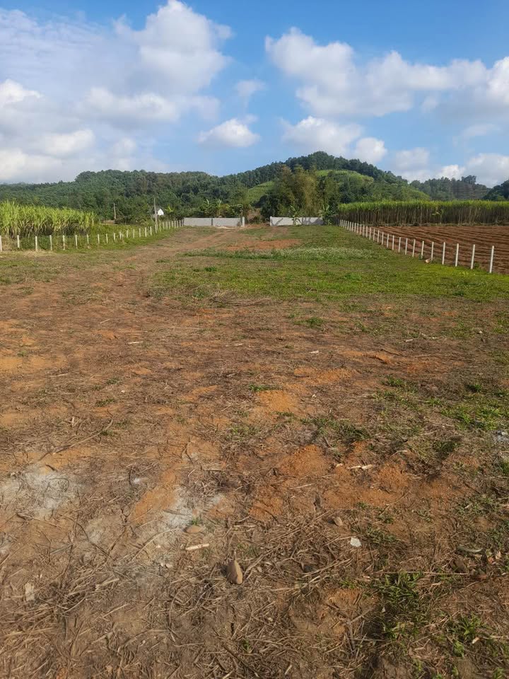 Đất nền rộng 3.336,6m² tại Dũng Phong, Cao Phong - Cơ hội đầu tư hấp dẫn!