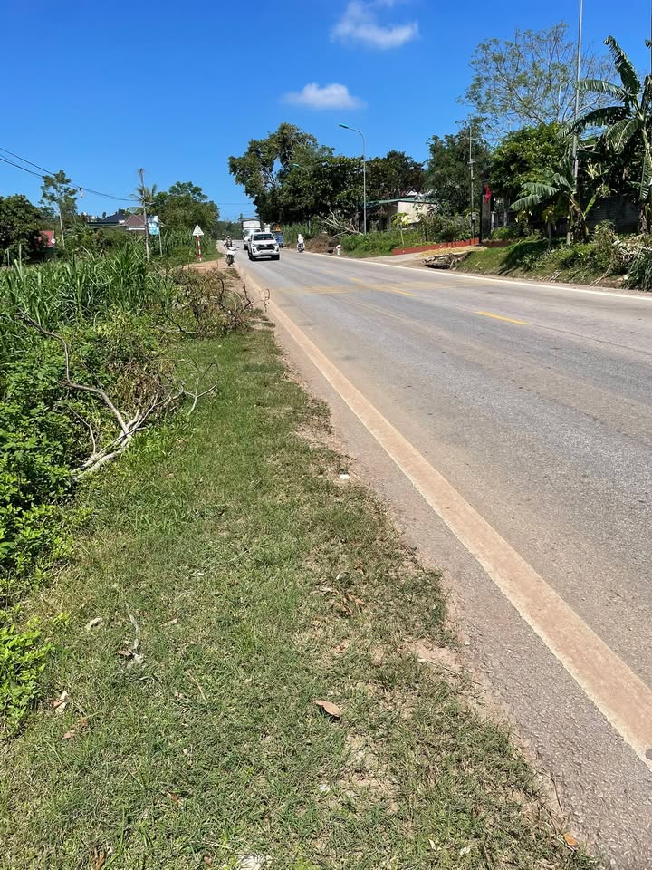 Đất nền Nghĩa Tiến, Nghĩa Đàn 442m² giá 1.3 tỷ - Cơ hội đầu tư tuyệt vời!