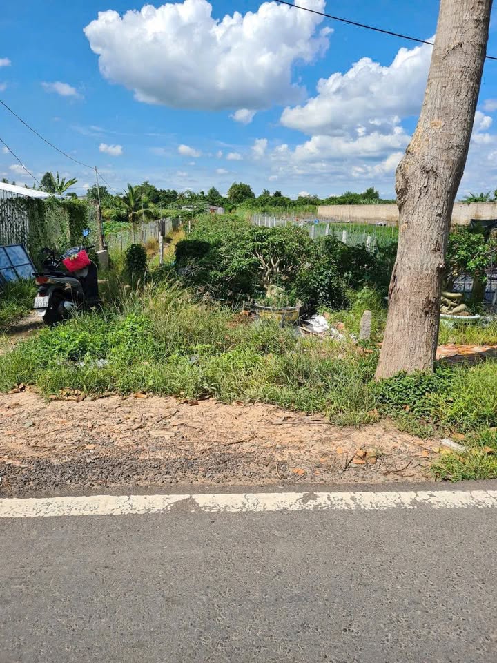 Đất nền mặt tiền ĐT 848, xã Tân Khánh Đông 342m² giá 3.2 tỷ - Đầu tư sinh lời ngay!