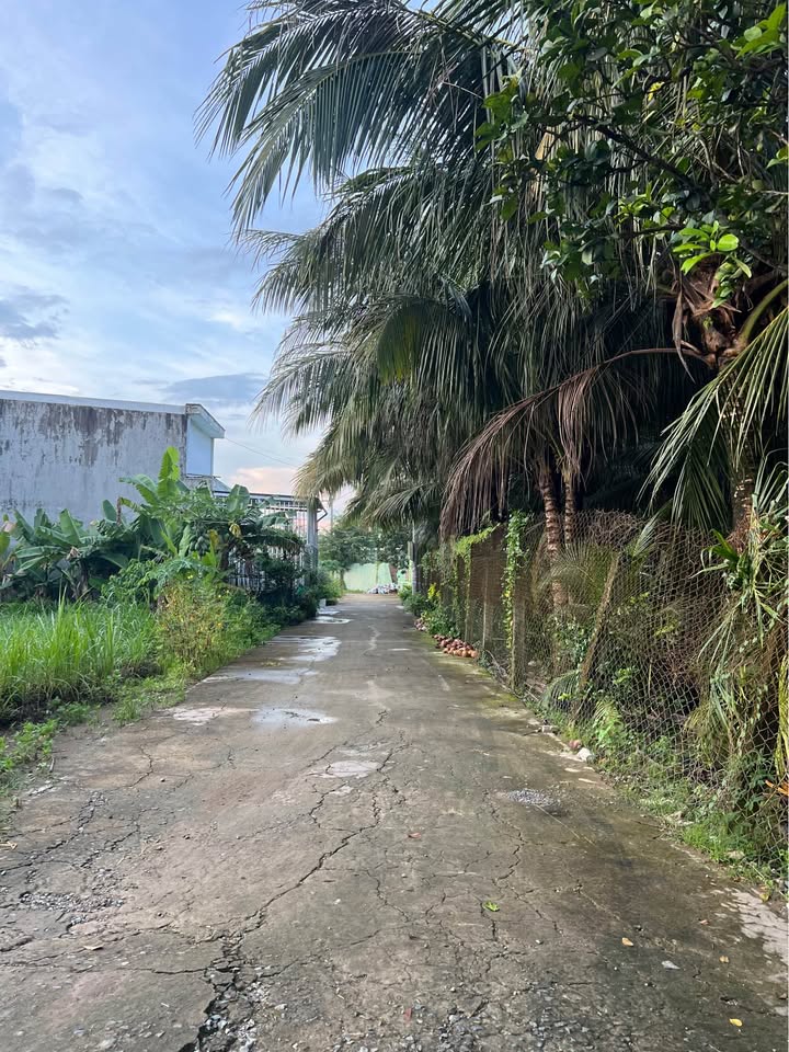 Đất nền biệt thự 450m² phường Đạo Thạnh - Đầu tư lý tưởng gần khu Quảng Trường!