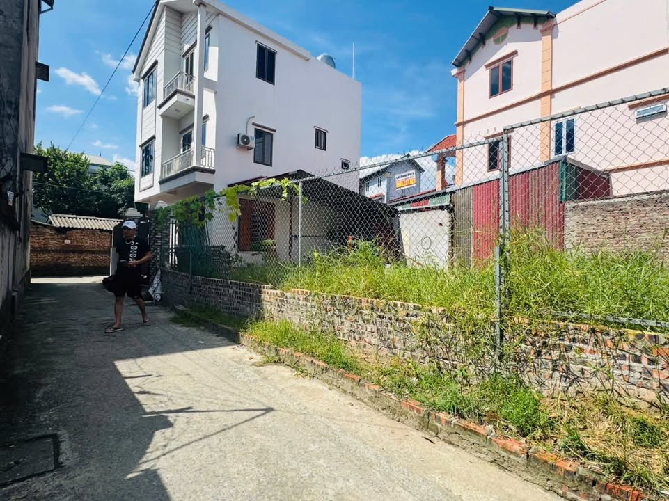 Đất dự án Cổ Loa Đông Anh 91.7m² giá 5 tỷ - Cơ hội đầu tư tuyệt vời!