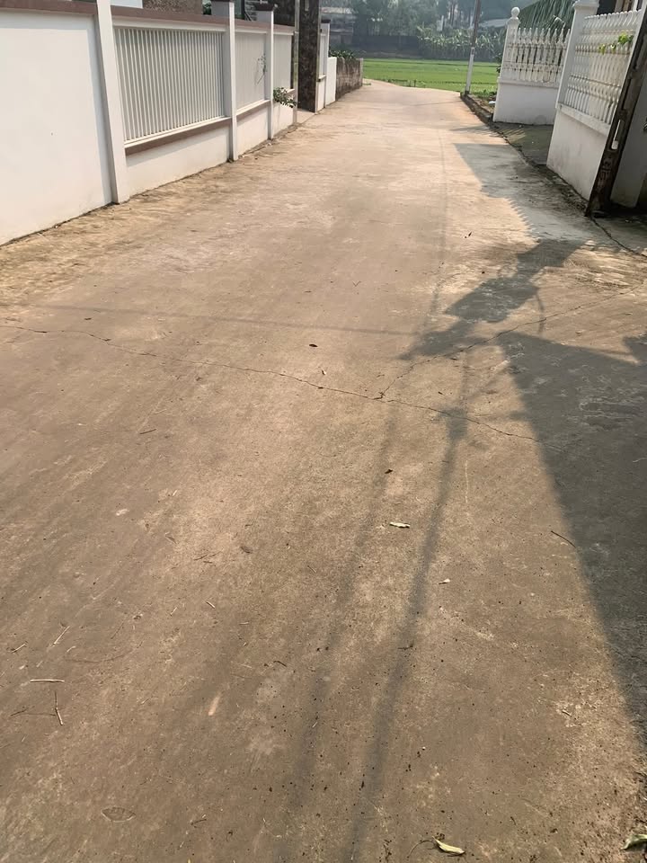 Đất nền Tân Hưng Lạng Giang 160m² giá 1.1 tỷ - Cơ hội đầu tư tốt!