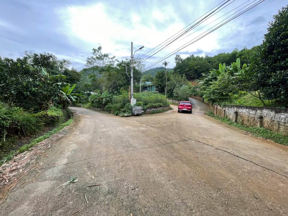 Đất thổ cư 500m² phường Tân Hòa, TP Hòa Bình - Giá tốt, vị trí đẹp!