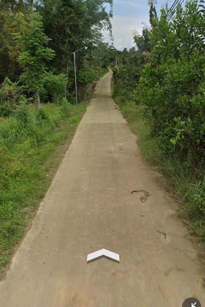 Đất mặt tiền đường bê tông Phú Ngọc 2000m² giá 2.2 tỷ - Đầu tư sinh lời ngay!