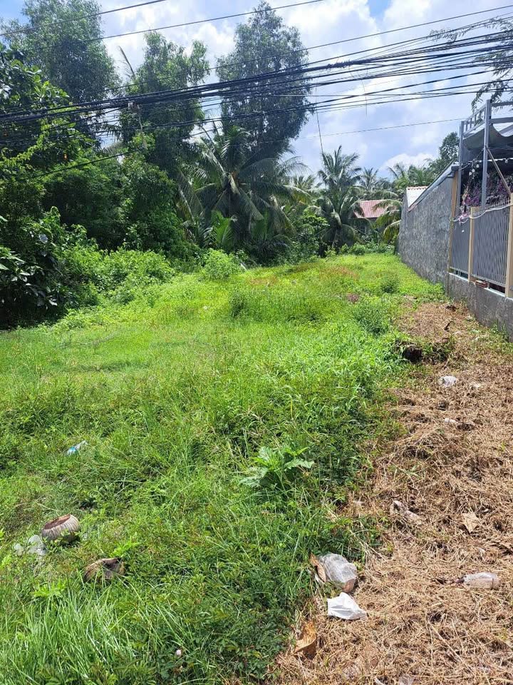 Đất nền mặt tiền Quốc lộ 57, xã Ngãi Đăng, 588.4m² - Đầu tư sinh lời ngay!