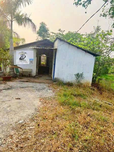 Đất vườn 5000m² Thái Mỹ, Củ Chi - Sổ hồng chính chủ, giá tốt chỉ 8.9 tỷ!