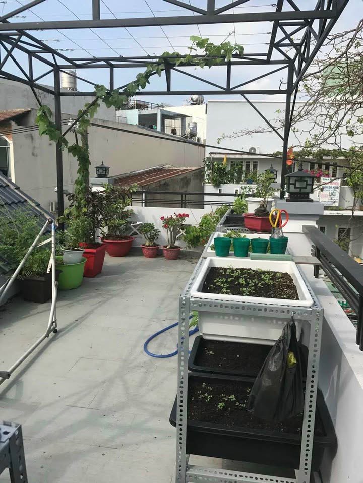 Nhà Mặt tiền đường Nguyên Hồng, Quận Gò Vấp - Diện tích 77m², Giá chỉ 6.9 tỷ - Thương lượng ngay!