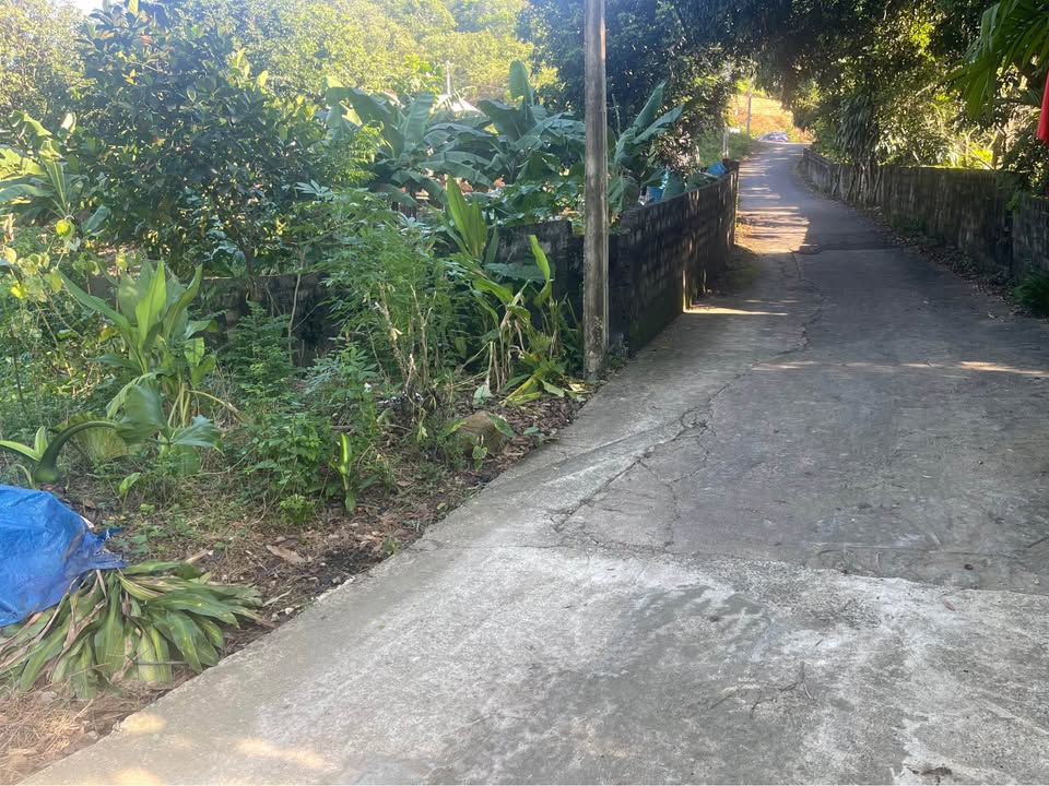 Đất nền 660m² Hòa Sơn, Lương Sơn - Giá chỉ 1.8 tỷ, giao thông thuận tiện!