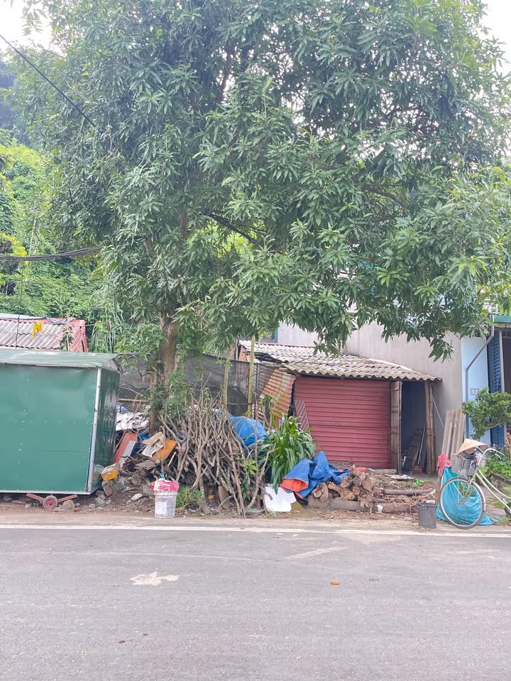 Đất nền Phường Hòa Bình, Huyện Lương Sơn 36m² giá 1.3 tỷ - Đầu tư sinh lời tốt!