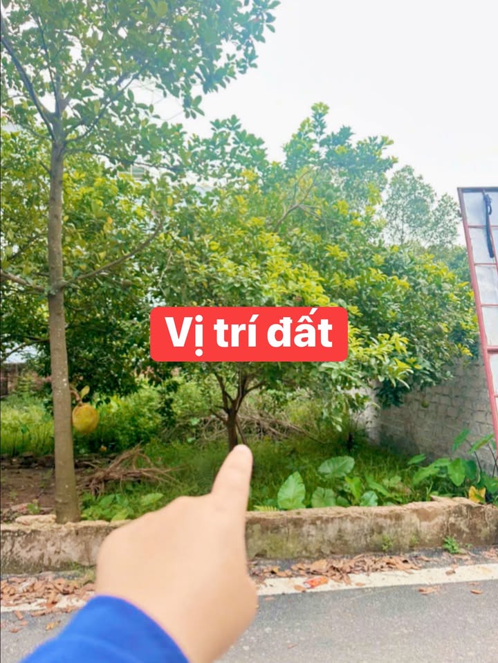 Lô đất 72m² tại xã Dân Hòa, Thanh Oai chỉ 2 tỷ - Đầu tư lý tưởng!